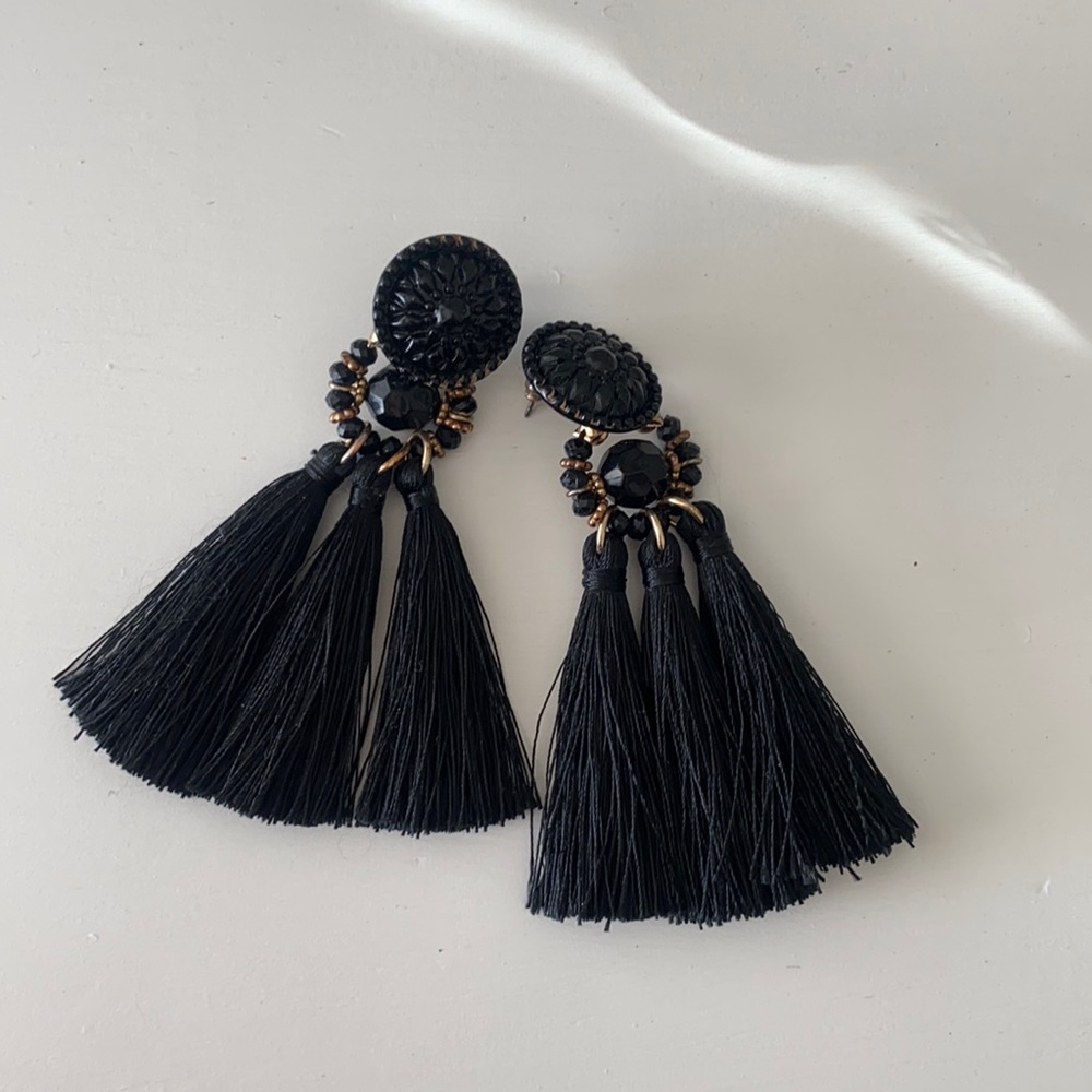 Long Black Fringe Earrings